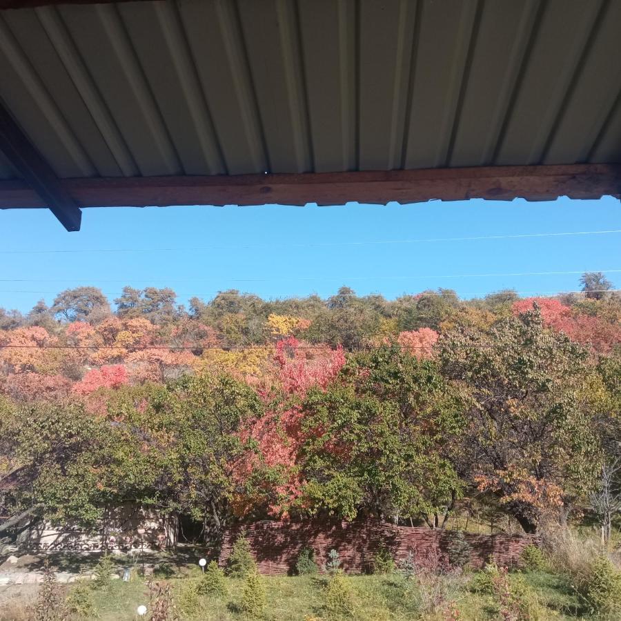 Turan Guesthouse 카라콜 외부 사진