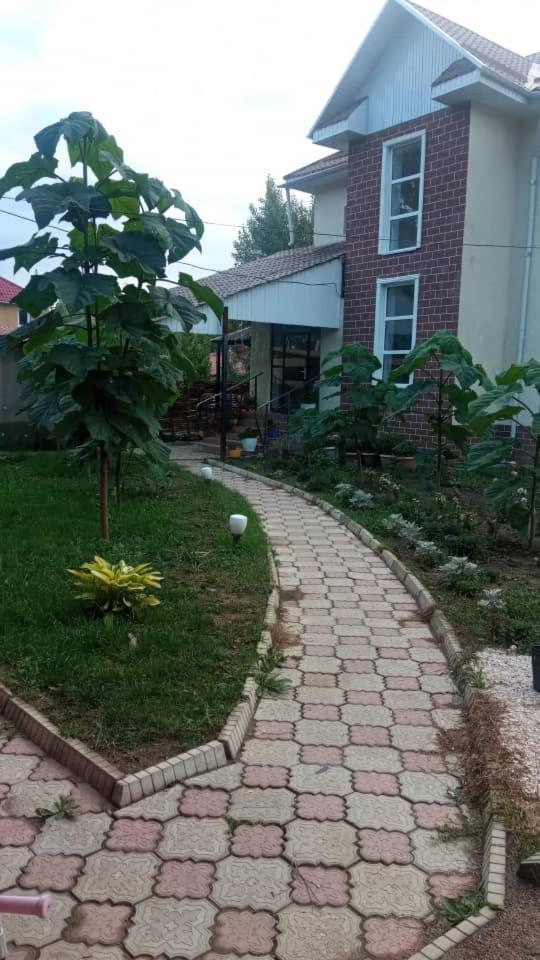 Turan Guesthouse 카라콜 외부 사진
